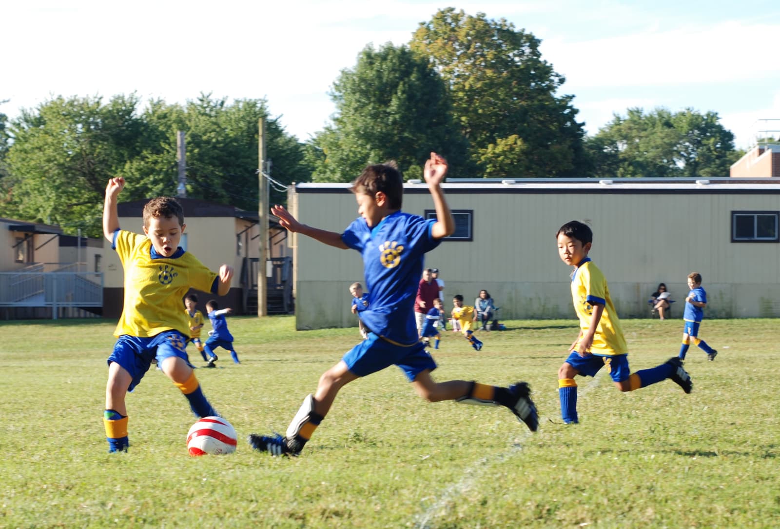 Children playing soccer in a youth training session on grass