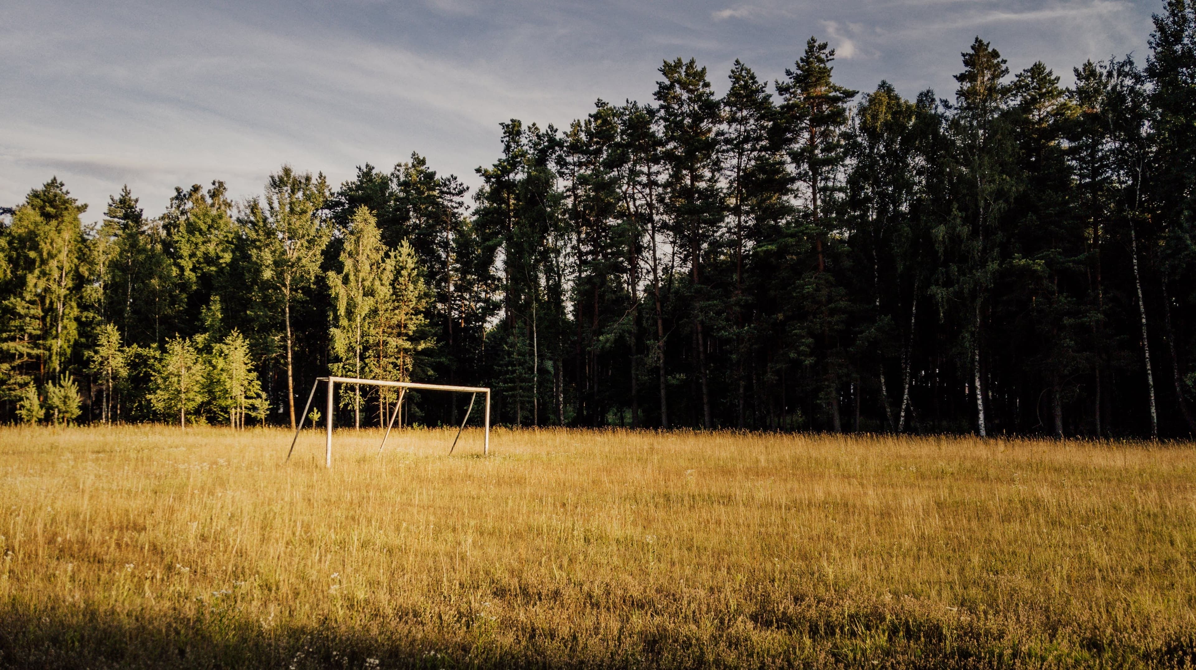 Soccer goal on field, trees in background